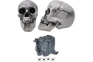 GENERIC Halloween Haunted House Prop Set 2pc Realistic Plastic Skull Moveable Jaw Plus Stretchable Spider Web and Fake Spiders Day of The Dead Dia De Los Muertos Decorations