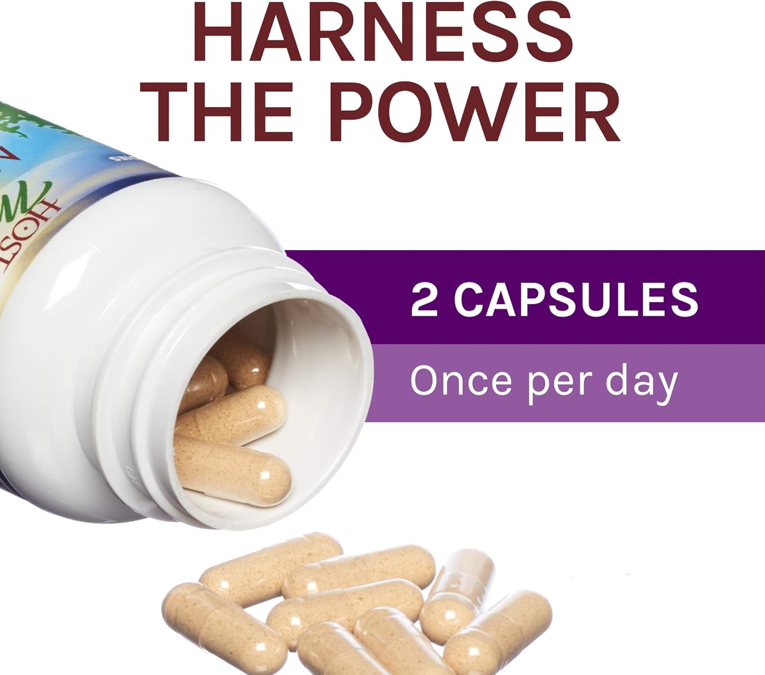 Host Defense, MyCommunity Capsules, Advanced Immune Support, Mushroom Supplement with Lion’s Mane, Reishi, Vegan, Organic, 30 Capsules (15 Servings): Health & Personal Care