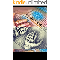 SEVENTEEN book cover