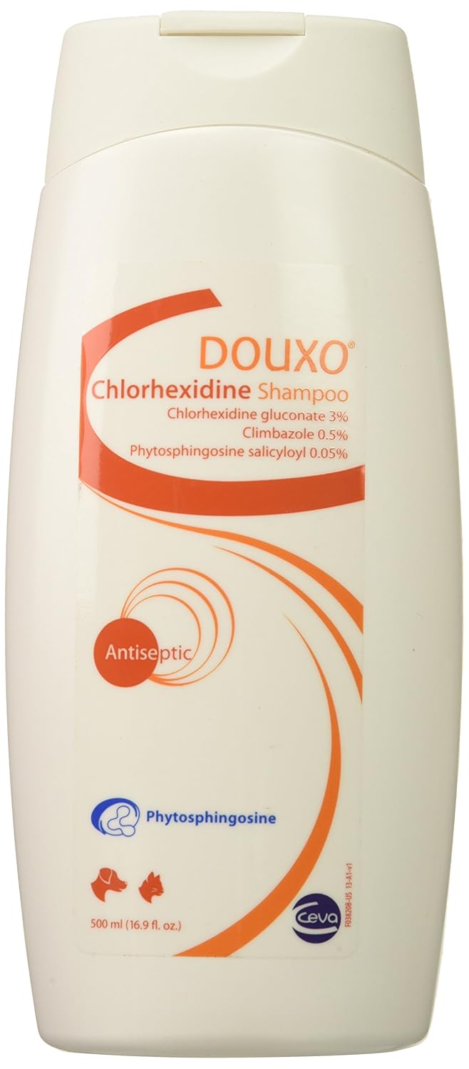 5 Tips To Pick The Best Yorkie Shampoo And Conditioner In 2020