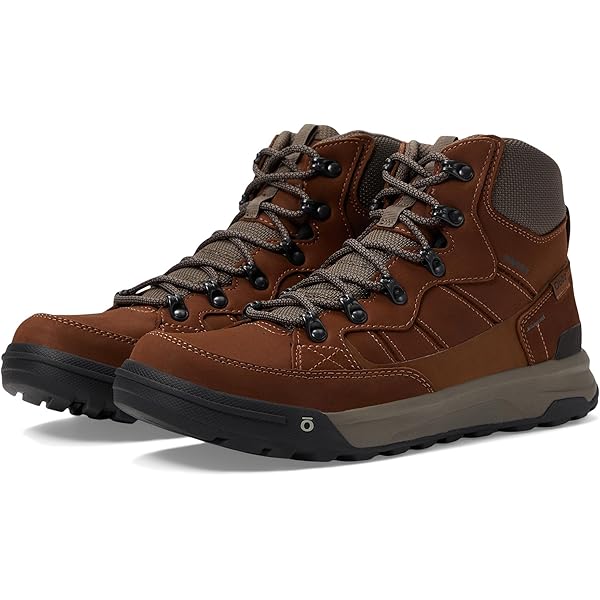 Amazon.com | Zamberlan,Men's,Vioz Lux GTX RR,Brick,8,Medium