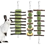 ERKOON 3PCS Bunny Chew Toys, Rabbit Chew Toys for Teeth Grinding, Improve Dental Health, 100% Natural Apple Wood Timothy Gras