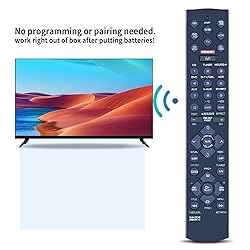 PZL RAV206 V694090US Replacement Remote Control fit