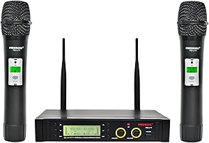 Freeboss FB-U11 UHF Wireless Microphone System Dual Channel IR 2x100 Frequency Wireless Microphone (FB-U11)