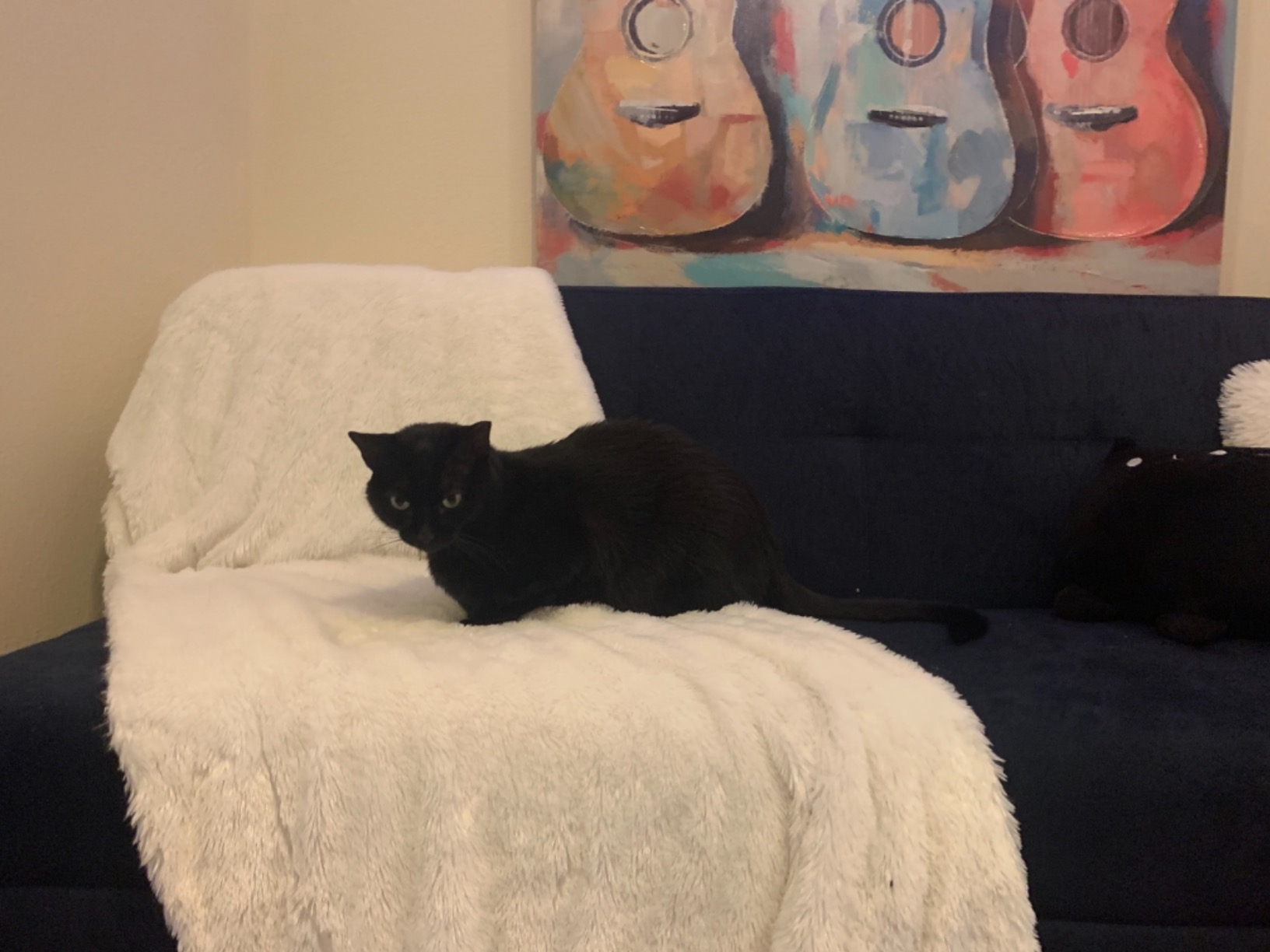 10/mo Finance DHP Sola Storage Futon, Gray Buy Now, Pay Later