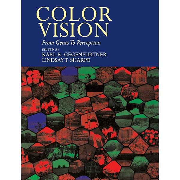 Vision Science: Photons to Phenomenology: 9780262161831: Medicine