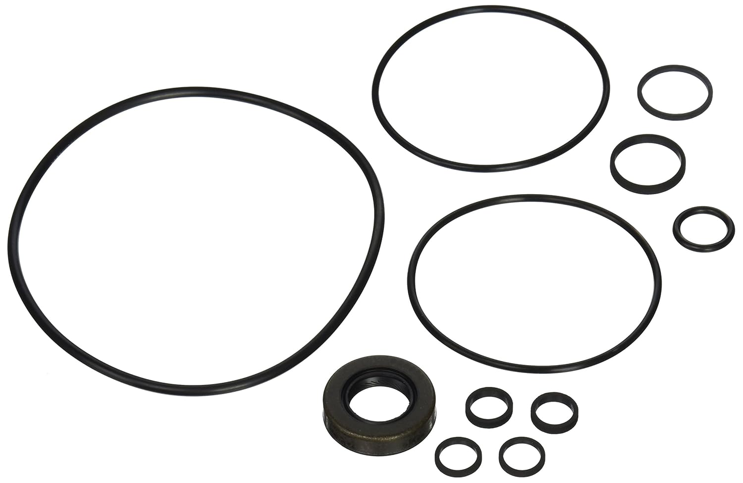 Gates 351160 Power Steering Pump Seal Kit, Steering Amazon Canada