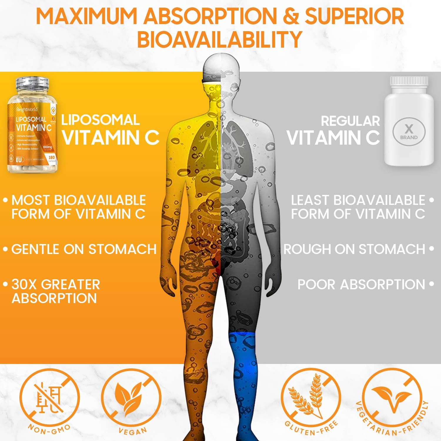 Liposomal Vitamin C Capsules 1000mg, 180 Vegan Capsules (3 Months Supply) - Image 4