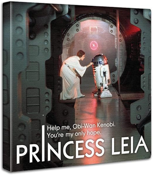 princess leia fabric