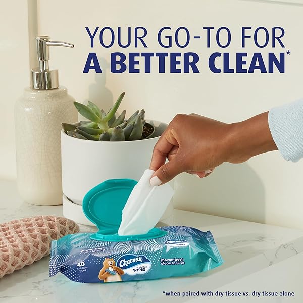 CHARMIN FLUSHABLE WIPES, 160 TOTAL WIPES (4 PACKS OF 40)