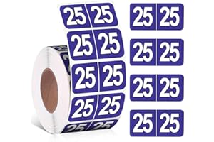 ZZUNKN 500 Pieces 2025 Year Stickers File Folder Year Labels Rectangle Coded Colored Year Stickers Self Adhesive Year Labels Tab File Folders Office Supplies, 1 Roll, 3/4" x 1-1/2" (Purple)