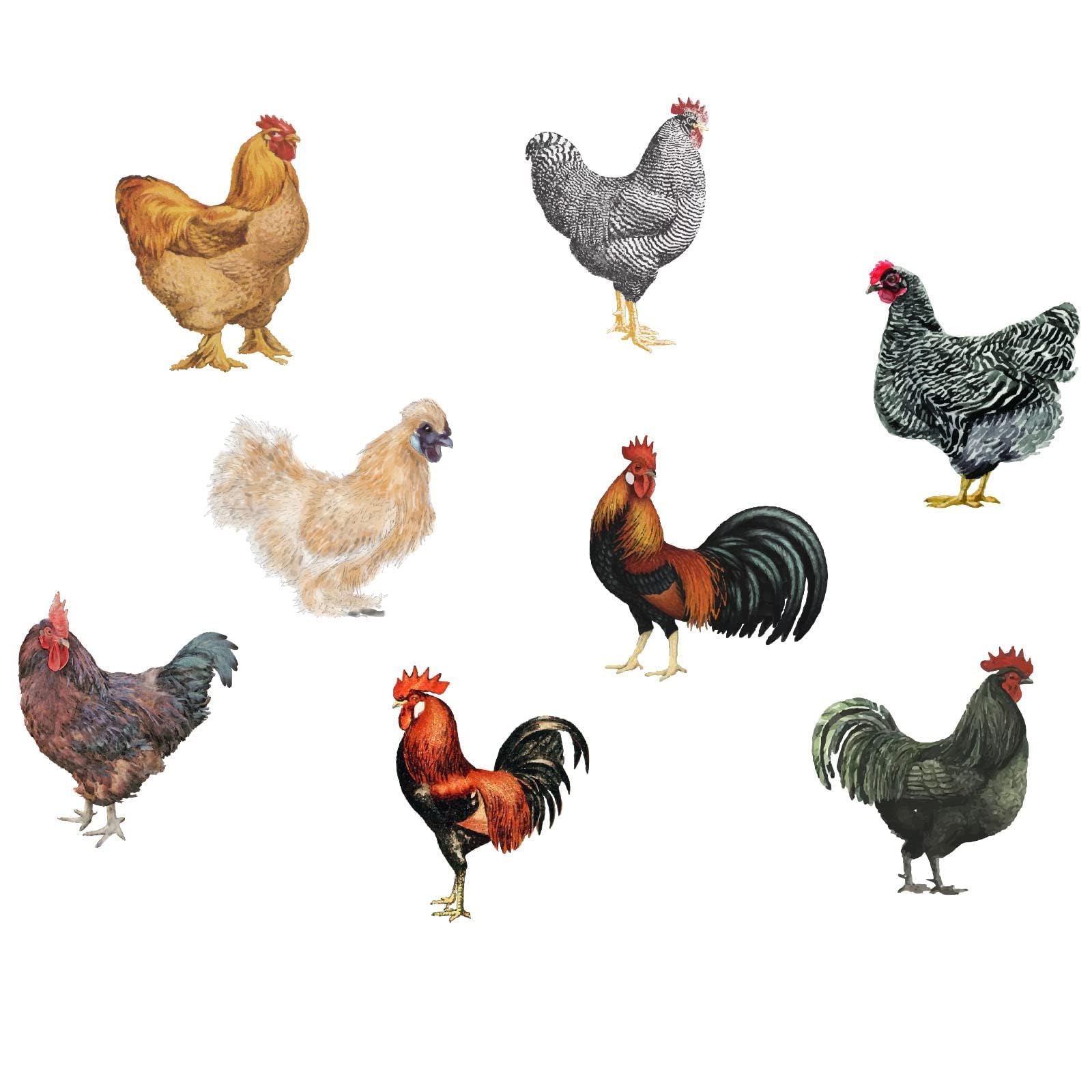 PLIGREAT 8 Pcs Farmhouse Rooster Hen Wall Decals, Removable Peel and Stick Vinyl Chicken Wall Stickers for Kitchen Pantry, Nursery, Playroom, Rustic Window & Fridge Door Decor