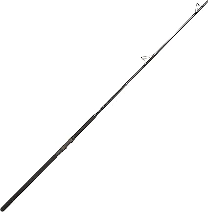Daiwa coastal salt pro Clearance