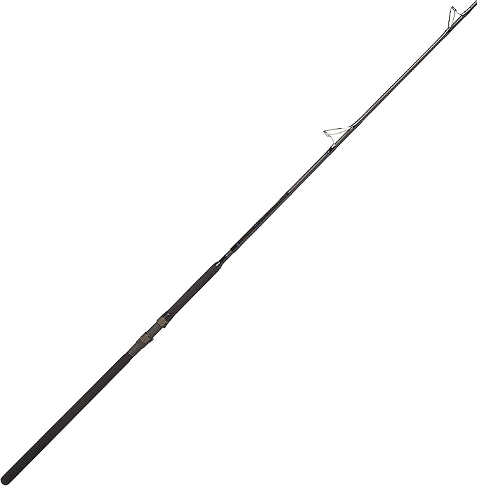 daiwa coastal surf rod
