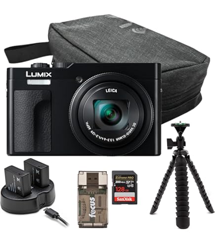 Amazon.com : Panasonic LUMIX TZ/ZS99 Point and Shoot Camera
