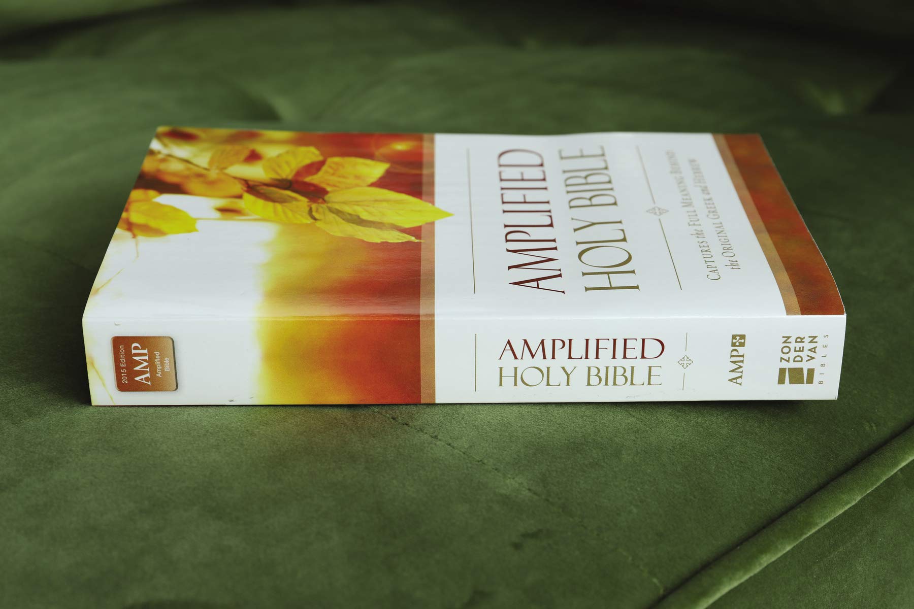 Amplified Outreach Bible, Paperback: Capture the Full Meaning Behind the Original Greek and Hebrew Amplified Outreach Bible, Paperback: Capture the Full Meaning Behind the Original Greek and Hebrew Paperback