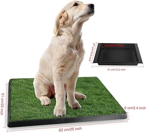 Puppy potty training tray Clearance