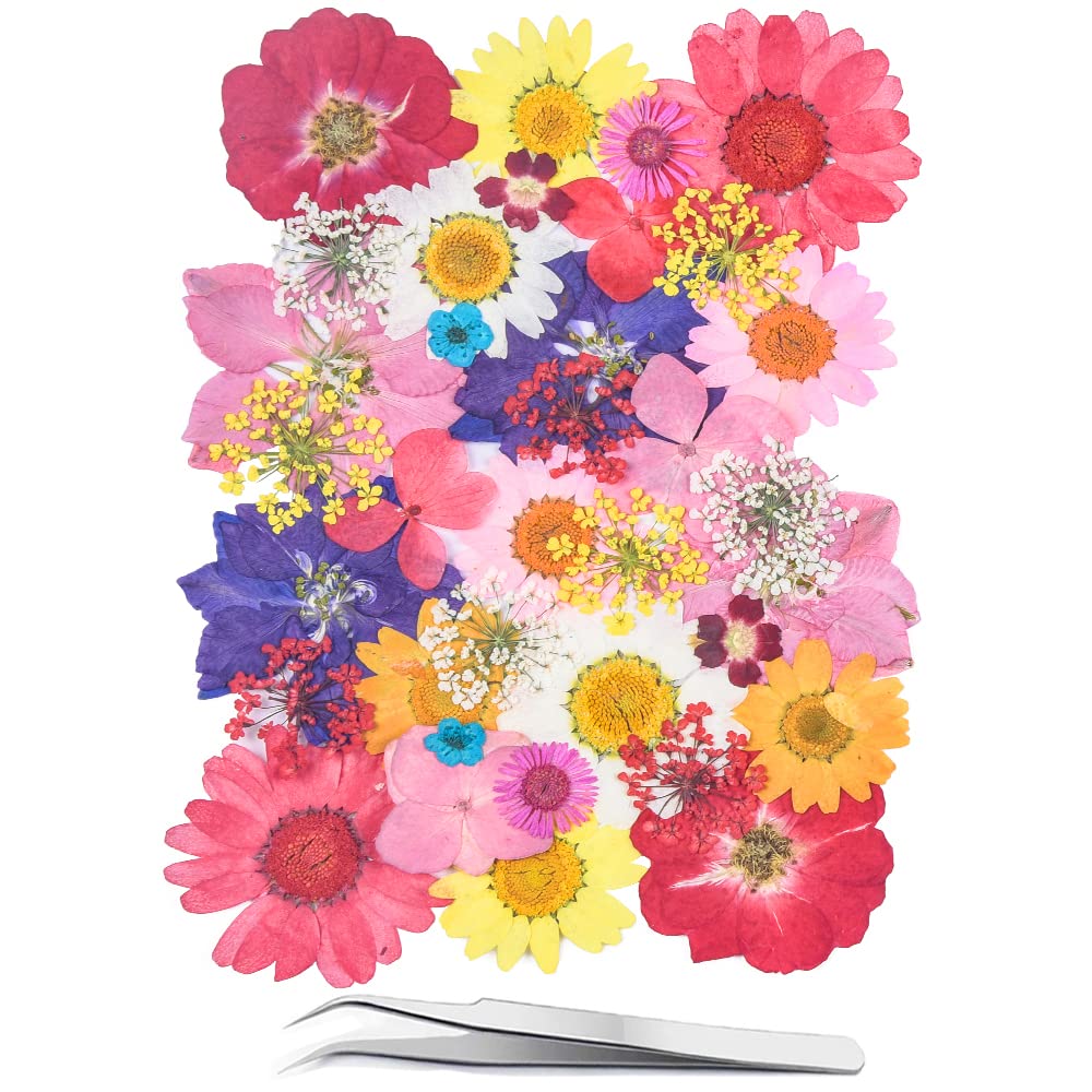 YoothBro Dried Pressed Flowers for Resin Molds,Real Natural Pressed Flowers for DIY Art Crafts,Candle Making, Nails Décor,Soap Making, Phone Case Red Pink