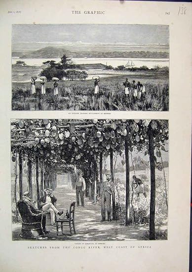 Der Kongo-Küsten-Afrika-Weinstöcke-Englischer Handel 1878: Amazon.de