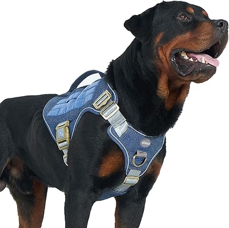 Auroth dog vest Outlet