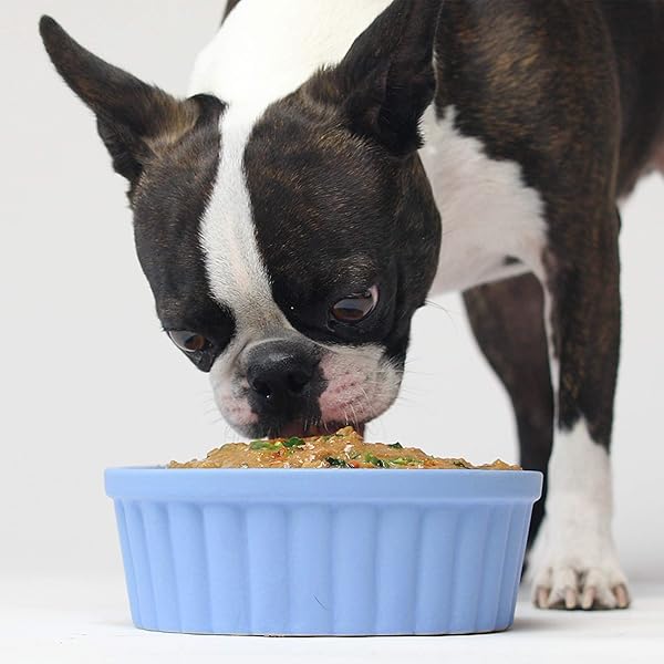 OPEN FARM, HERRING & MACKEREL RUSTIC STEW WET DOG FOOD GRAIN-FREE MEAL OR FOOD TOPPER WITH RESPONSIBLY SOURCED MEAT AND SUPERFOODS WITHOUT ARTIFICIAL INGREDIENTS, 12.5 OUNCE