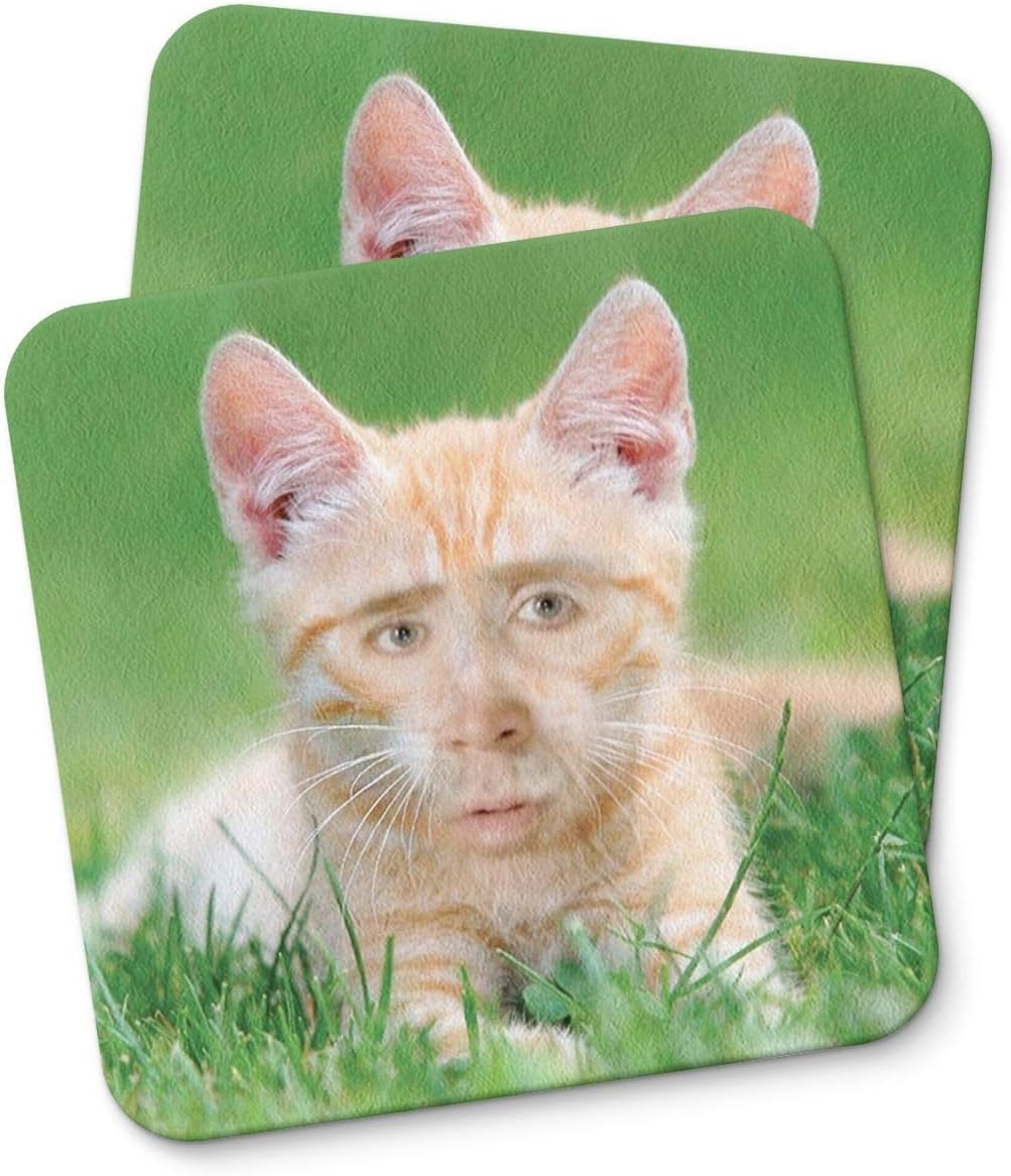 nicolas cage cat