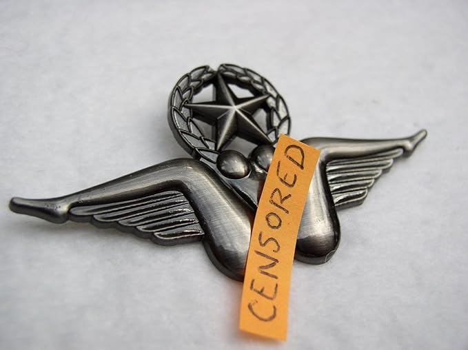 BUSH WINGS PIN USAF FLYING STAR PILOT BADGE DOUBLE CLUTCH LARGE WINGS PIN VINTAGE