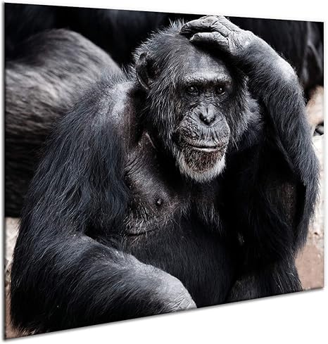 Furnigo 1314 - Cubierta universal (60 x 52 cm, tabla de cortar, tapa