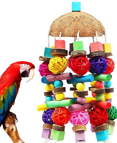 MQUPIN Large Parrot Toy with Coconut Shell, Natural Wood Beak Gym for African