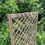 Selections Willow Trellis Framed Panel Garden Climbing Plant Support 120x45cm view 5