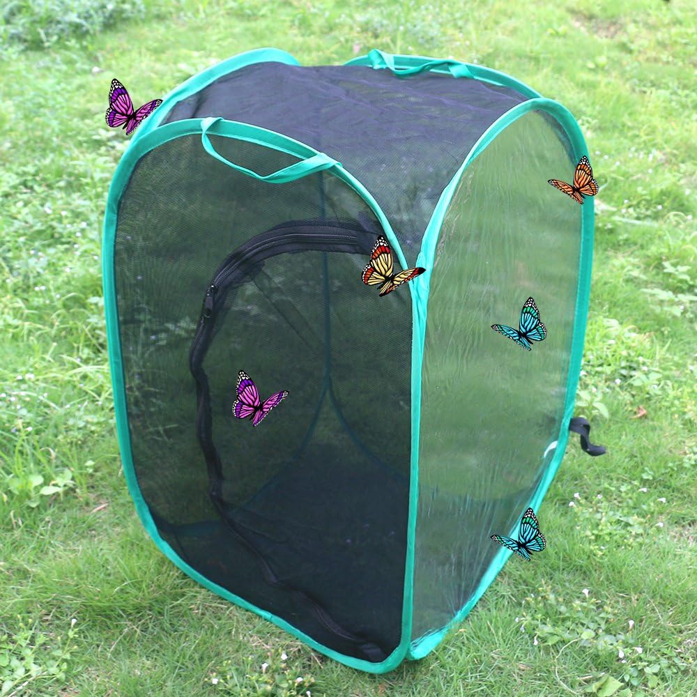 Best Butterfly Garden Nap