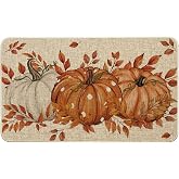 Artoid Mode Orange Dot Pumpkin Eucalyptus Fall Doormat, Autumn Home Decor Low-Profile Switch Rug Door Mat Floor Mat for Indoor Outdoor 17x29 Inch