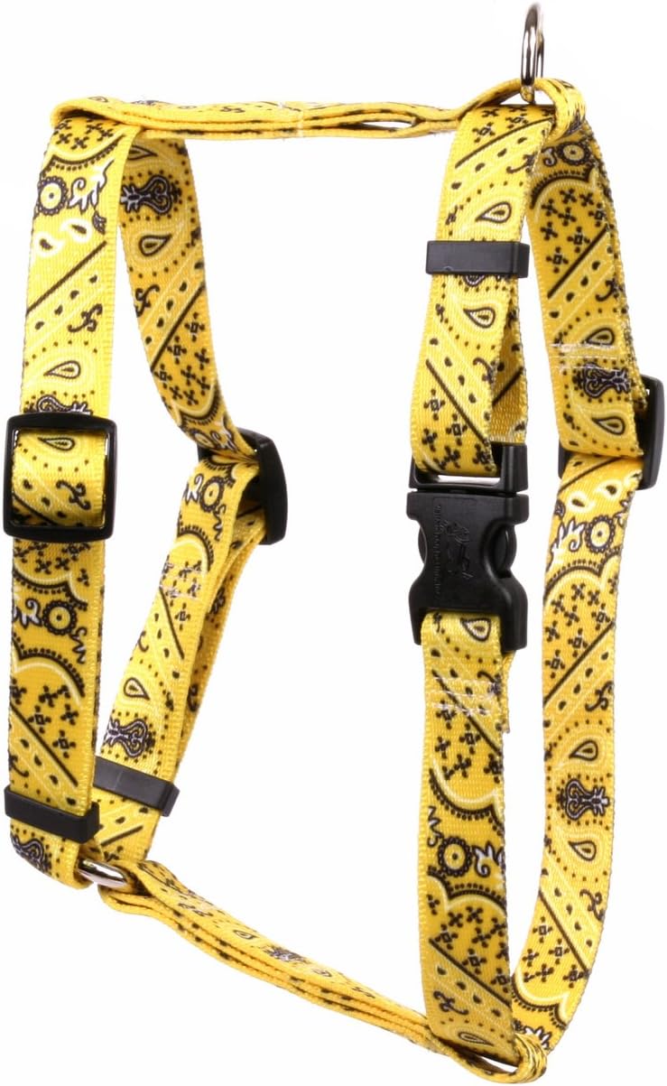 yellow dog harness