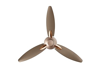 Buy Usha Bloom Daffodil Goodbye Dust Ceiling Fan 1250mm Sparkle