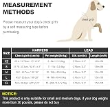 haapaw Dog Harness and Lead Set No Pull Reflective Step-in Size XS-SM view 7