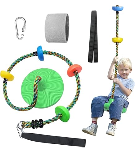 赤ちゃん swing Swing-N-Slide WS 4001-B Plastic Infant Swing with Nylon Rope Swing