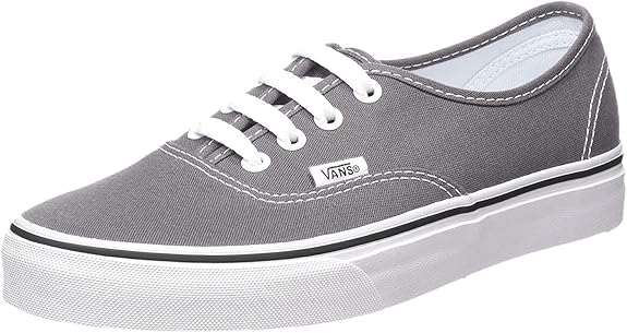 vans authentic skate shoe