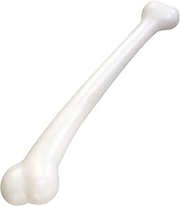 Forum Novelties Prehistoric Caveman Cavewoman Costume Jumbo Bone