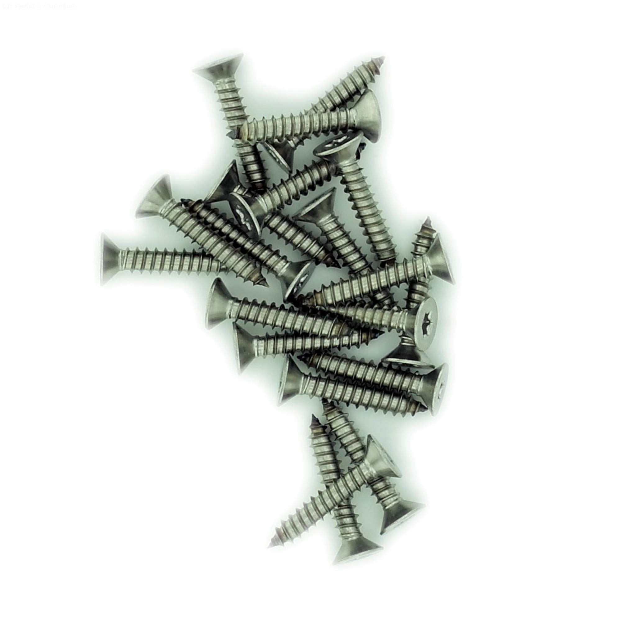 No.8 x 0.75 (4.2mm x 19mm) TX Countersunk Self-Tapping Screw - Stainless Steel (A2) (Pack of 20)