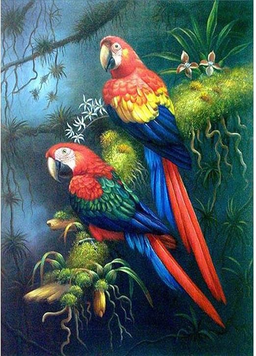 Amazon.com: Diamond Painting 5D Painting with Diamonds DIY Diamonds Art