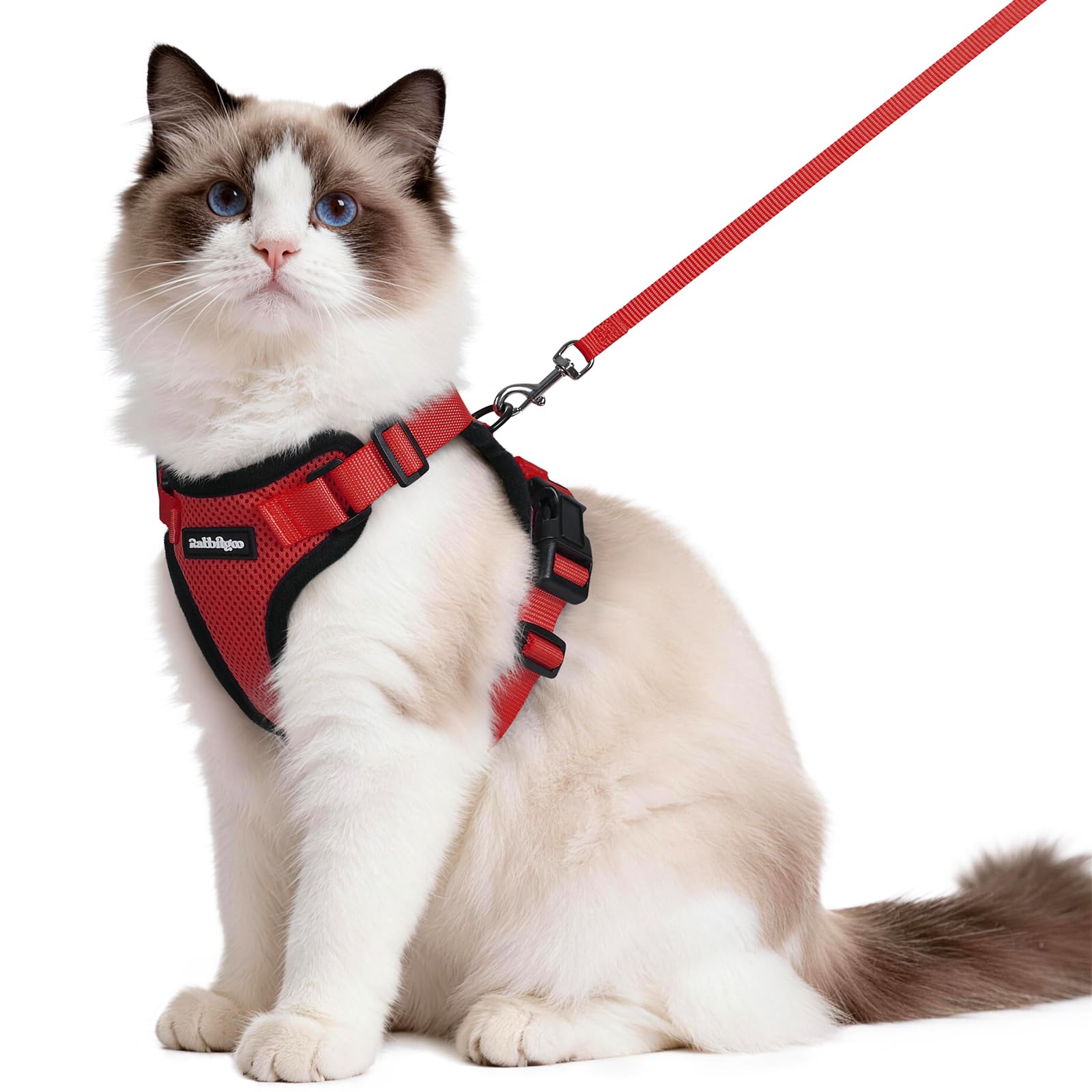 rabbitgoo Cat Harness and Lead Set, Adjustable Escape Proof Cat Lead for Walking, Reflective Kitten Harness Set, Soft and Comfortable for Medium to Large Cats, Red, M