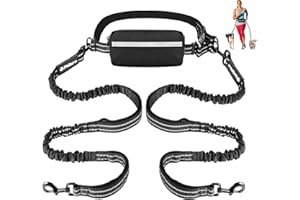 Philorn Hands Free Dog Leash for 2 Dogs, Adjustable Waist Leash for Medium Large Dogs Walking, Running, Jogging, Hiking, Dual Handles and Durable Bungee