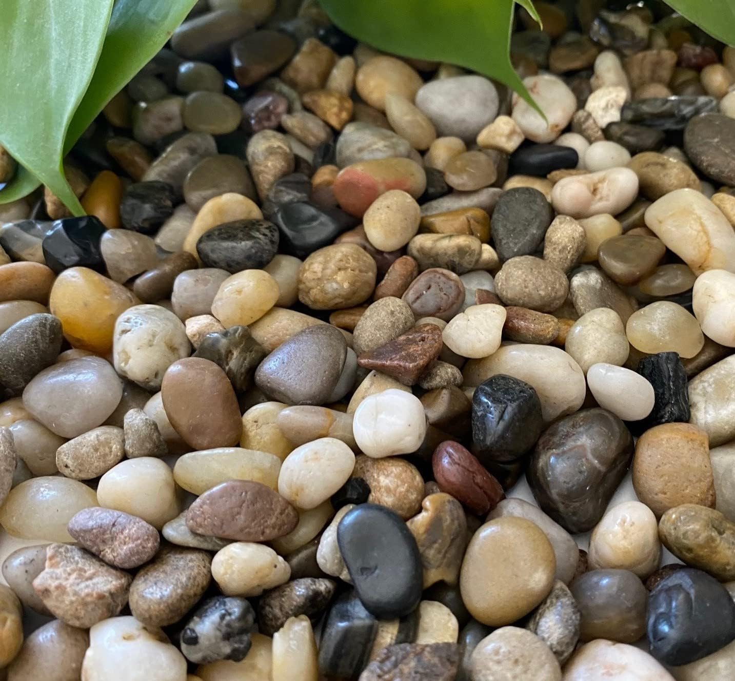 Hardscaping Materials - Premium Pebbles Rocks for Plants. Mixed Colors Decorative Polished Pebbles. 3/8 Inch – 2 lbs for Plants, Garden, Vase fillers, Succulents, pots, Plants(XSM (0.375 Inch), Mixed Color - Polished, 2)