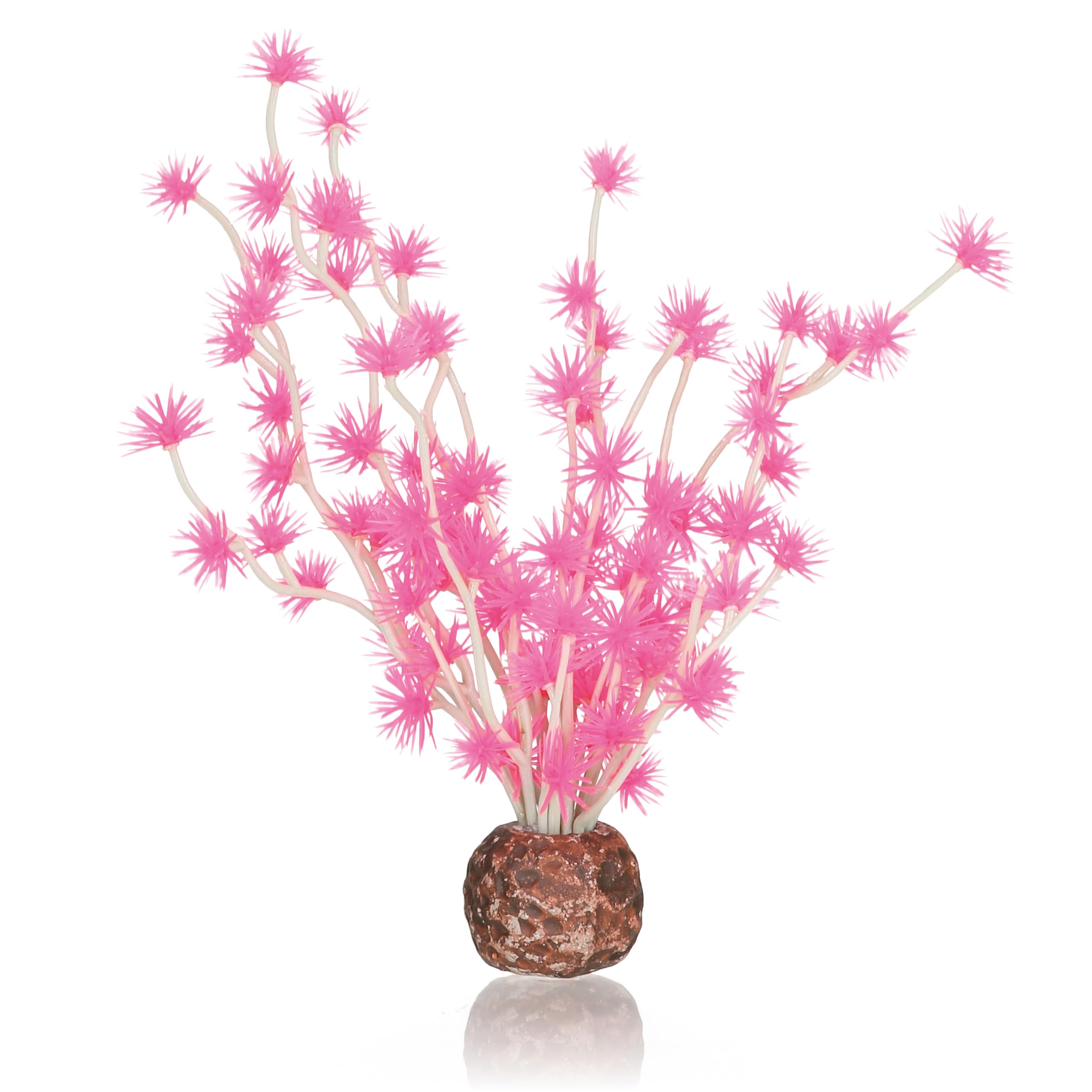 biOrb Fish Tank Decorations, Aquatic Bonsai Ball Plant Plant (Pink) With Weighted Ball,1 x Aquarium Plant, Fish Tank Plants To Add Colour, Natural-Looking Aquarium Decor For Scenic Background