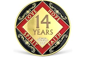 LREQASOR 14 Year NA Medallion Fourteen Year Recovery Chip for NA AA 12 Step Narcotics Anonymous Coin Anniversary Token Clean and Sober Gifts for Men Women Celebrating Sobriety and Addiction Recovery