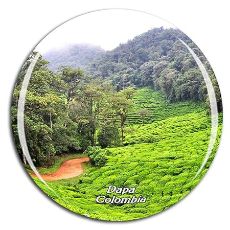 Weekino Té Verde Colombiano dapa Imán de Nevera 3D de Cristal de ...