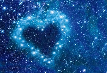 Amazon Yeele バレンタインデー バックドロップ スイートラブ恋人 ポートレート 写真背景 結婚式 写真ブース 小道具 デジタル壁紙 バックペーパー 背景布 通販