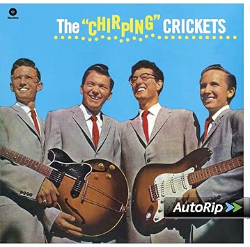 The Chirping Crickets