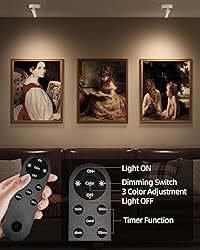 EZVALO Spot Lights Indoor,5500mAh Rechargeable