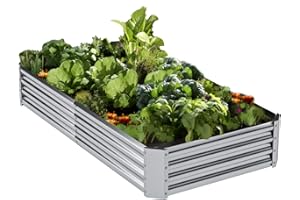MISAGI Outdoor Raised Garden Bed,Large Metal Garden Bed Planter Box,Galvanized Raised Beds for Gardening,Silver(6×3×1ft)